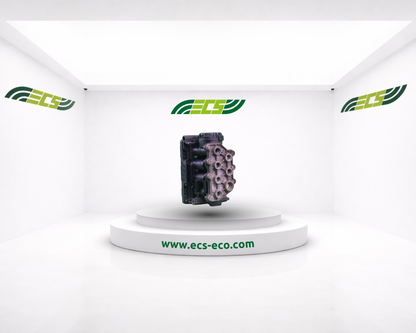 Renault Balloon Double Valve